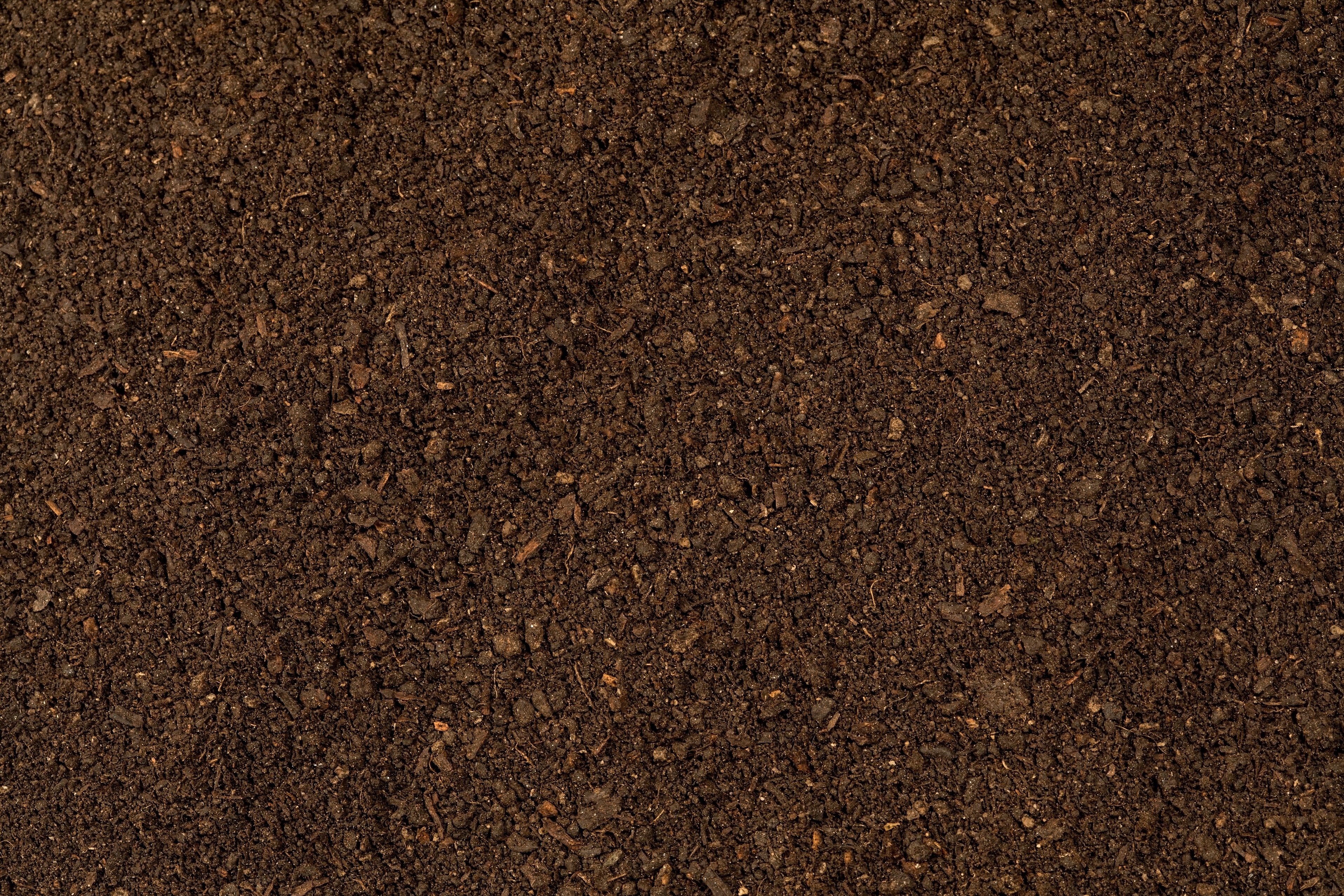 Dirt background